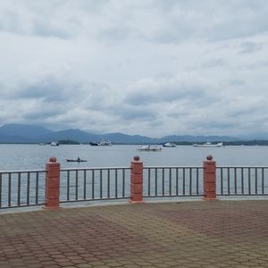 Meet your Posher, Madi